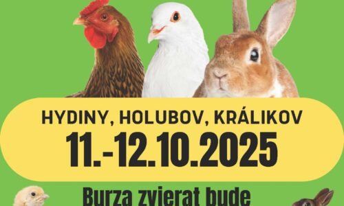 34. OBLASTNÁ VÝSTAVA Žiar nad Hronom