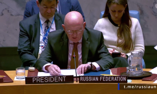 V. A. Nebenzja na zasadnutí Bezpečnostnej rady OSN o situácii okolo Venezuely