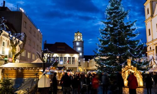 Na Vianočných trhoch 2025 budú v ponuke aj podplamenníky a bubble waffle