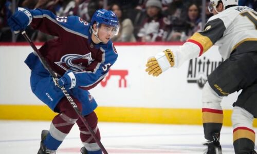 Sen o NHL sa rozplynul ďalšiemu Slovákovi. V kempe vydržal takmer do konca, ale ešte nie je pripravený Sen o NHL sa rozplynul ďalšiemu Slovákovi. V kempe vydržal takmer do konca, ale ešte nie je pripravený