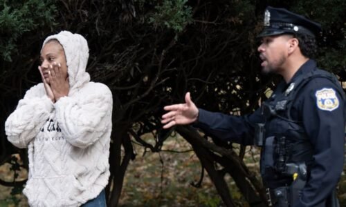 Tragický konec pátrání: Policisté objevili tělo v mělkém hrobě, může patřit královně krásy
