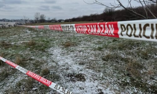 Nájemná vražda v pražském parku: Muž si měl objednat smrt rivala. Padly výjimečné tresty Nájemná vražda v pražském parku: Muž si měl objednat smrt rivala. Padly výjimečné tresty