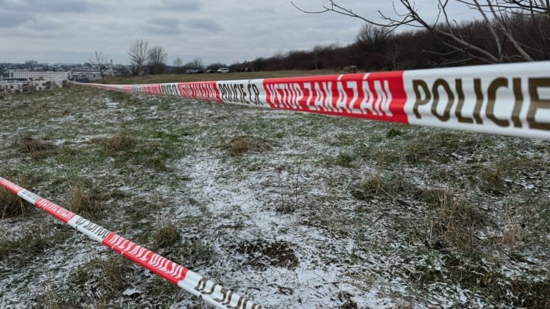 Nájemná vražda v pražském parku: Muž si měl objednat smrt rivala. Padly výjimečné tresty Nájemná vražda v pražském parku: Muž si měl objednat smrt rivala. Padly výjimečné tresty