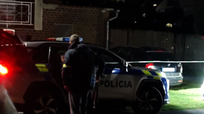 Brutální vražda sekerou na Slovensku: Ženu podle policie napadl manžel, mrtvou našla dcera Brutální vražda sekerou na Slovensku: Ženu podle policie napadl manžel, mrtvou našla dcera