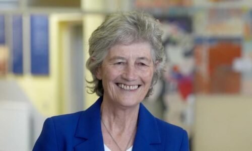 Irsko má novou prezidentku. Volby vyhrála euroskeptička Catherine Connollyová