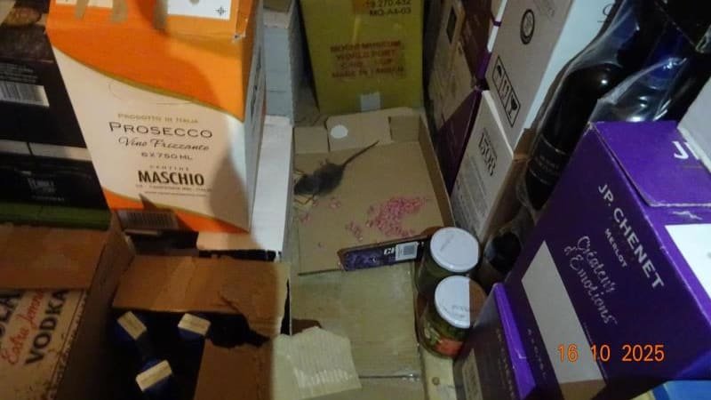 Mrtvý hlodavec a myší trus mezi potravinami. Obchod v centru musí zavřít a zaplatí pokutu Mrtvý hlodavec a myší trus mezi potravinami. Obchod v centru musí zavřít a zaplatí pokutu