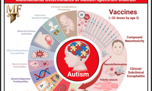 107 studií spojuje vakcíny s autismem a dalšími poruchami mozku: Metaanalýza McCulloughovy nadace 107 studií spojuje vakcíny s autismem a dalšími poruchami mozku: Metaanalýza McCulloughovy nadace