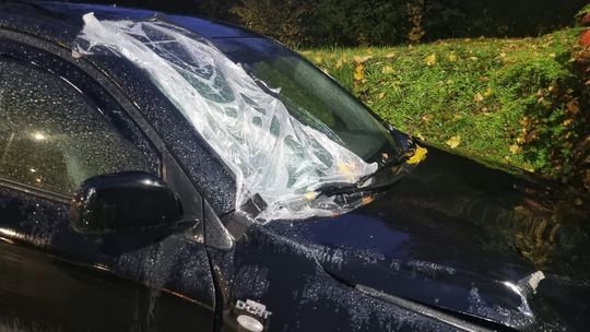 Vodič pri Žiline zrazil a zabil 22-ročného mladíka, z miesta ušiel