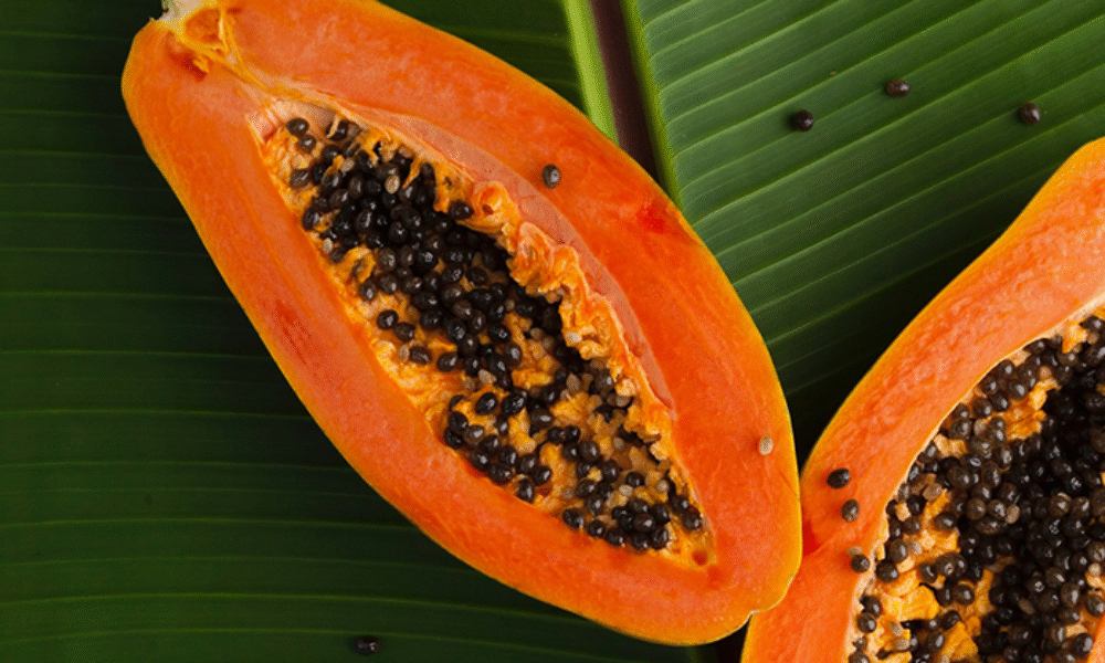 Papája vo vašej záhrade: Ako začať