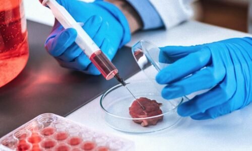 Studie: Laboratorně pěstované maso Billa Gatese spojeno se sebevraždami a selháním orgánů