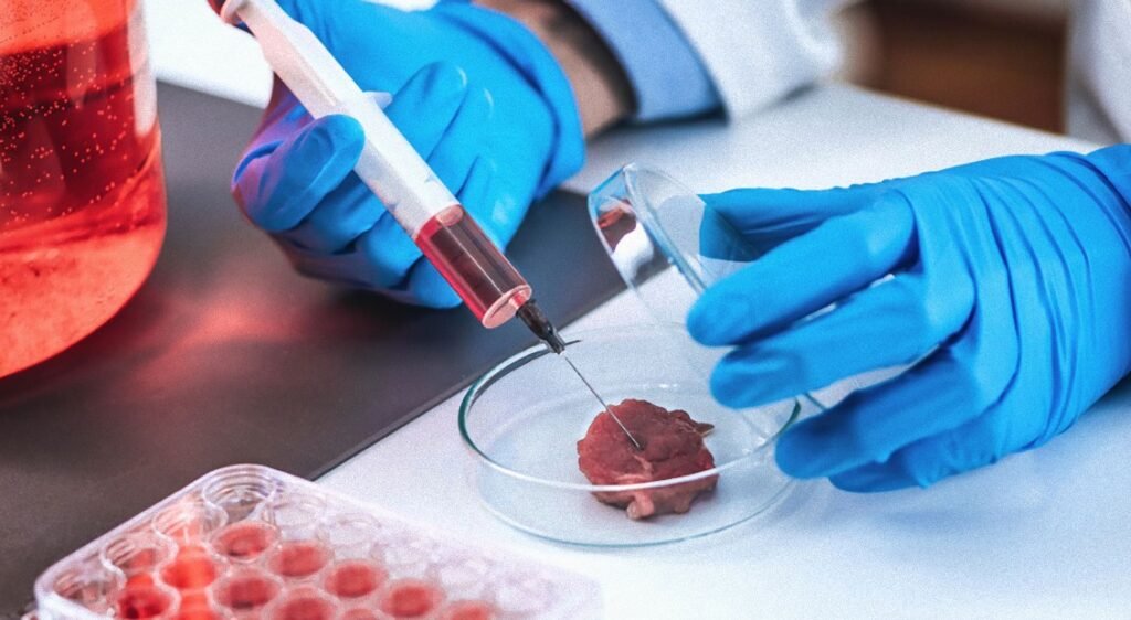 Studie: Laboratorně pěstované maso Billa Gatese spojeno se sebevraždami a selháním orgánů Studie: Laboratorně pěstované maso Billa Gatese spojeno se sebevraždami a selháním orgánů