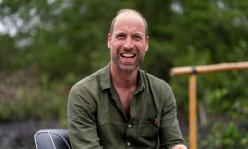 Princ William práskl do stolu, míní expert. Postupně nahrazuje Karla III. v královské roli