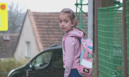 Obce vytáhly nový trik proti neukázněným řidičům: Školačka u silnice vypadá jako živá Obce vytáhly nový trik proti neukázněným řidičům: Školačka u silnice vypadá jako živá