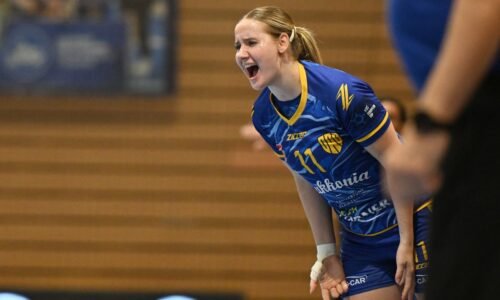 Mol liga: dunajská streda zvíťazila v česku rozdielom triedy a je naďalej stopercentná