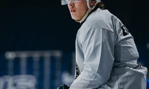 Jeho vzory sú Gáborík a Hossa. Extraligu vyhral v sedemnástich, no draft ho minul: Chce dokázať, že má na NHL Jeho vzory sú Gáborík a Hossa. Extraligu vyhral v sedemnástich, no draft ho minul: Chce dokázať, že má na NHL