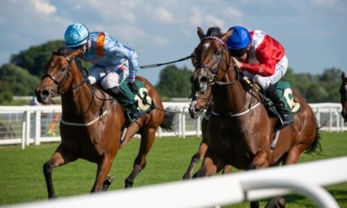 Sanitka na dostihové dráze v USA málem smetla závodníky, ukazuje video. Experti kroutí hlavou