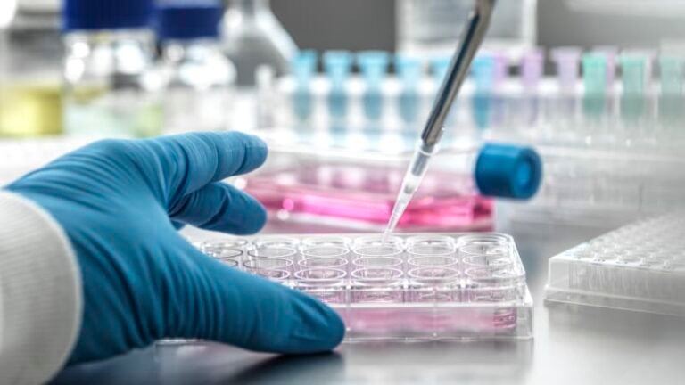 Virus ptačí chřipky h5n5 se poprvé přenesl na člověka. usmrtil chovatele drůbeže v usa