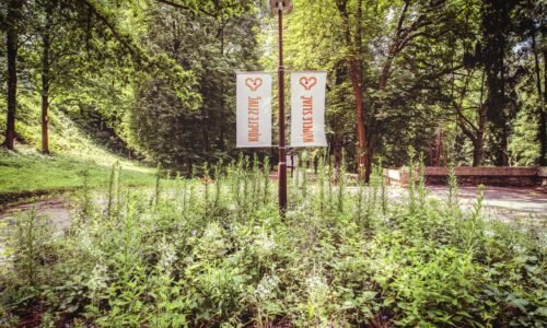 Globálne emisie CO2 z fosílnych palív dosiahnu v roku 2025 rekord Globálne emisie CO2 z fosílnych palív dosiahnu v roku 2025 rekord