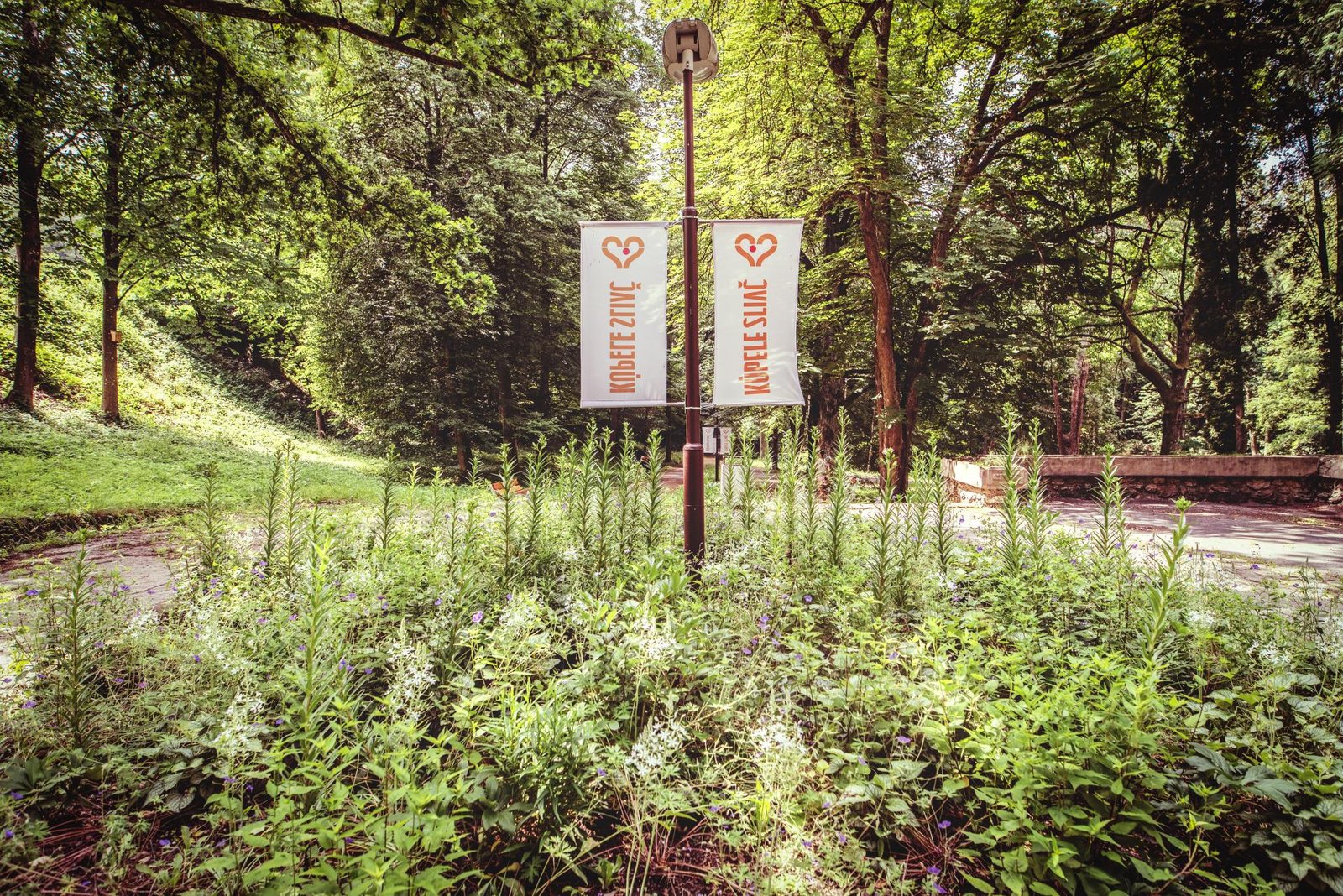 Globálne emisie CO2 z fosílnych palív dosiahnu v roku 2025 rekord Globálne emisie CO2 z fosílnych palív dosiahnu v roku 2025 rekord