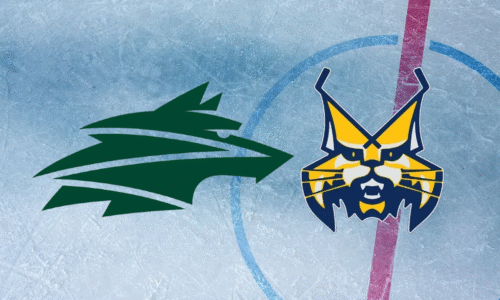 ONLINE Vlci Žilina – HK Spišská Nová Ves / Tipsport liga