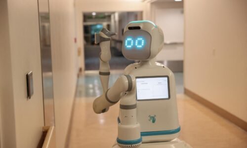 Japonské letisko otvorilo obchod so suvenírmi, kde obsluhuje mačací robot