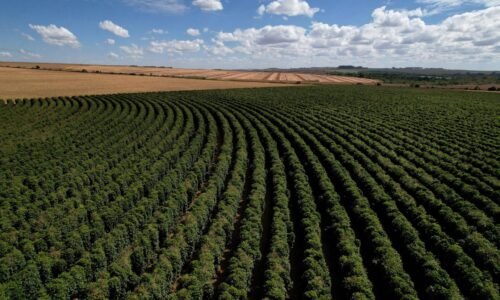 Trumpov ústupok nestačí. Káva napriek nižším clám zrejme opäť zdražie Trumpov ústupok nestačí. Káva napriek nižším clám zrejme opäť zdražie