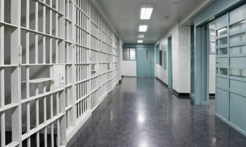 Lékaři pod dohledem: zdravotní péče za mřížemi vyžaduje odbornost i empatii