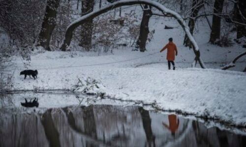 Sněhové přívaly v Česku: VÝSTRAHA ukazuje, kde čekat mohutnou vrstvu a komplikace