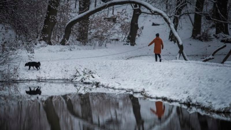 Sněhové přívaly v Česku: VÝSTRAHA ukazuje, kde čekat mohutnou vrstvu a komplikace