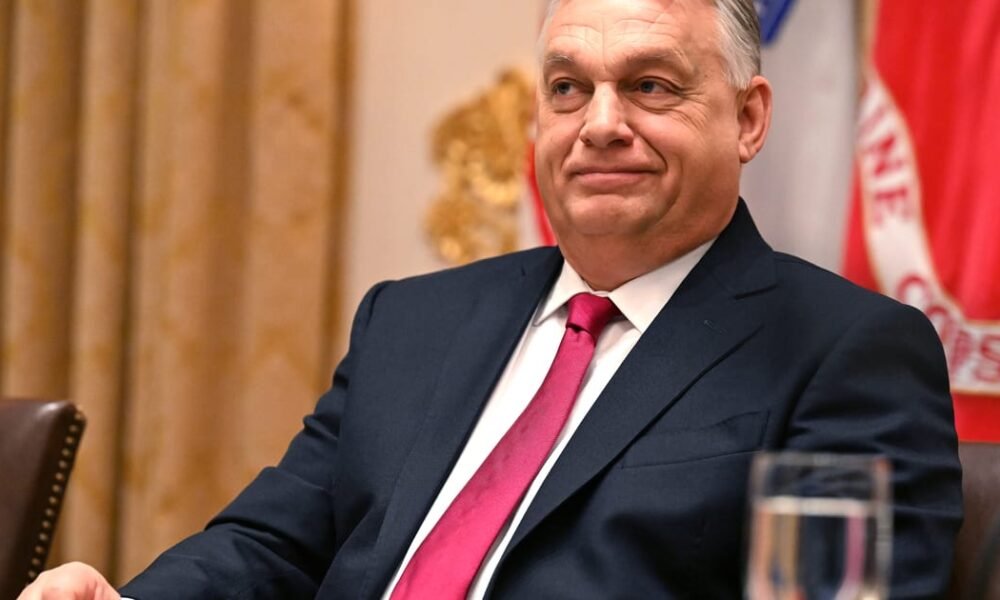 I am not afraid to accept election defeat – POLITICO