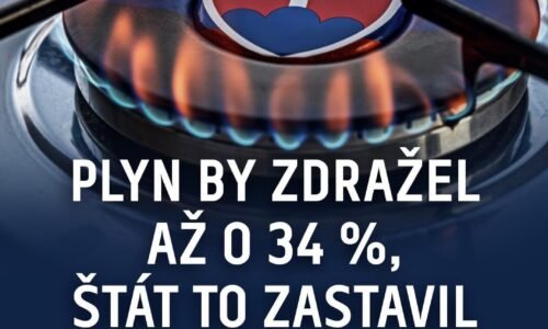 PLYN BY ZDRAŽEL AŽ O 34 %, ŠTÁT TO ZASTAVIL CEZ ENERGOPOMOC.