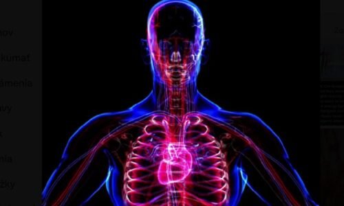 Ceny za transplantácie sú v USA vysoké: Americkí vedci chcú vytvárať „náhradné” ľudské telá