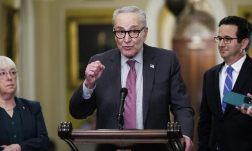 Some Democrats want Schumer to resign over deal to reopen government