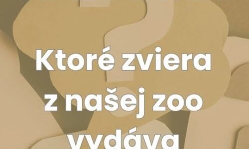 ZOO BOJNICE: HÁDANKA NA VÍKEND