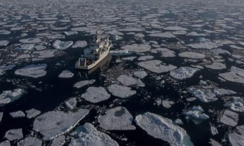 Zemi čekají katastrofické změny, varují vědci. Oteplování má překročit kritickou hranici
