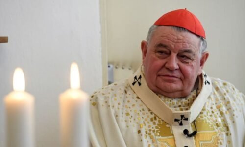 PŘEHLEDNĚ: Dukova smrt oslabila hlas Česka. Jaká je kardinálova role a kdy se najde nástupce?