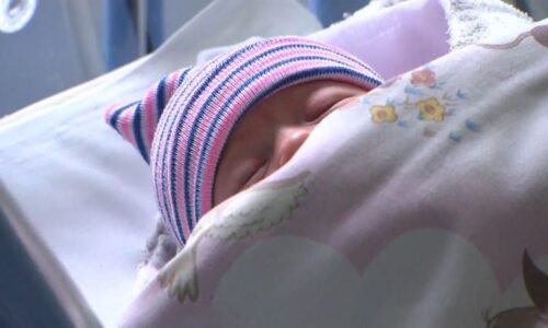 Obchody hlásí propad prodeje plen. V Česku se rodí stále méně dětí a letos přijde další pokles Obchody hlásí propad prodeje plen. V Česku se rodí stále méně dětí a letos přijde další pokles