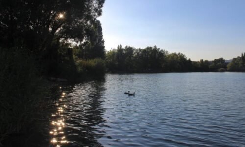 Tragédie na Olomoucku: V jezeře utonul muž, kolemjdoucí si ho nejprve spletli s bójkou Tragédie na Olomoucku: V jezeře utonul muž, kolemjdoucí si ho nejprve spletli s bójkou