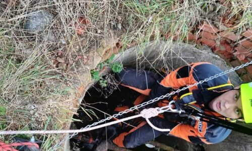 Dramatická záchrana psa ze studny v Hřebči. Uvězněné zvíře vytahoval speciální lezecký tým Dramatická záchrana psa ze studny v Hřebči. Uvězněné zvíře vytahoval speciální lezecký tým