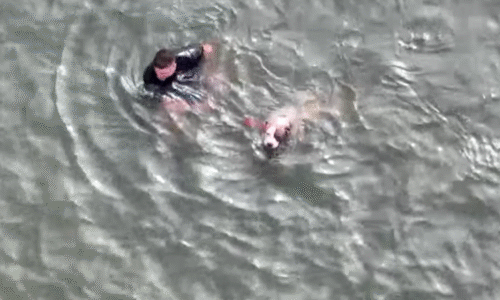 Policista neváhal a z ledového oceánu zachránil zraněného psa, ukazuje video. Hrdinství odmítá Policista neváhal a z ledového oceánu zachránil zraněného psa, ukazuje video. Hrdinství odmítá