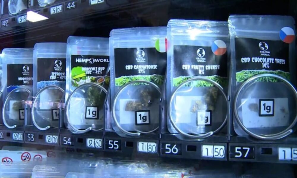 Kratom už nebude volně dostupný dětem. Prodávat ho budou jen speciální obchody