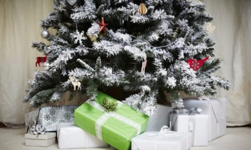 Vyberte nejhezčí vánoční strom České republiky. Který vás letos okouzlil nejvíc?