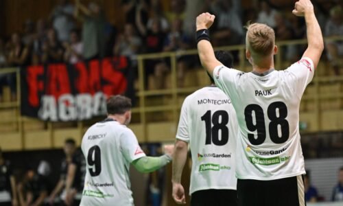 Niké Handball Extraliga: Derby medzi Topoľčanmi a Hlohovcom skončilo najtesnejším možným rozdielom