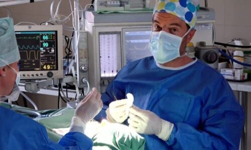 Chci silikonová prsa s popelem mého psa. Lidé v Česku chodí na plastiky i s bizarními požadavky