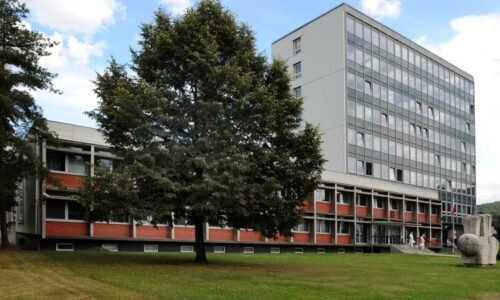 Verdikty v případu rvačky na koupališti v Dubí: Dva tresty vězení a dvě podmínky