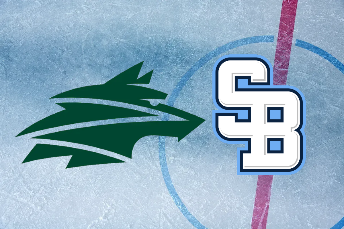 ONLINE Vlci Žilina – HC Slovan Bratislava / Tipsport liga