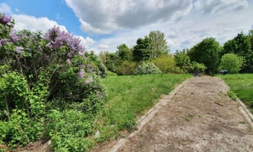 Dobrovoľníci s mestom oživili zanedbaný evanjelický cintorín a získali celoslovenské ocenenie