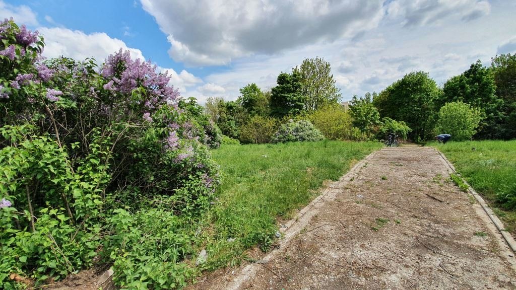 Dobrovoľníci s mestom oživili zanedbaný evanjelický cintorín a získali celoslovenské ocenenie