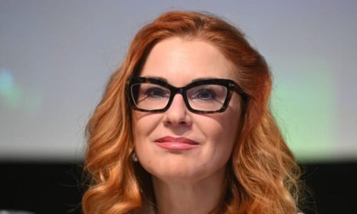 Video „defenestrace“ poslanců s vlajkou nadzvedlo Rakušana. Vraťte kytku, vzkázal Majerové