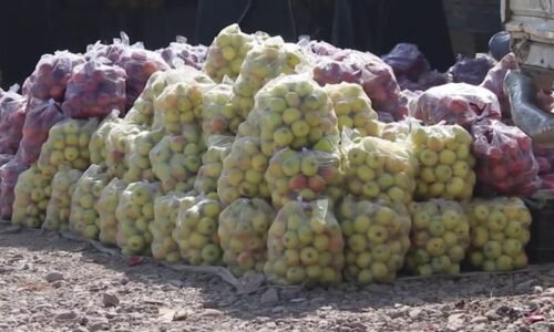 Afganistan začal vyvážať do Ruska jablká